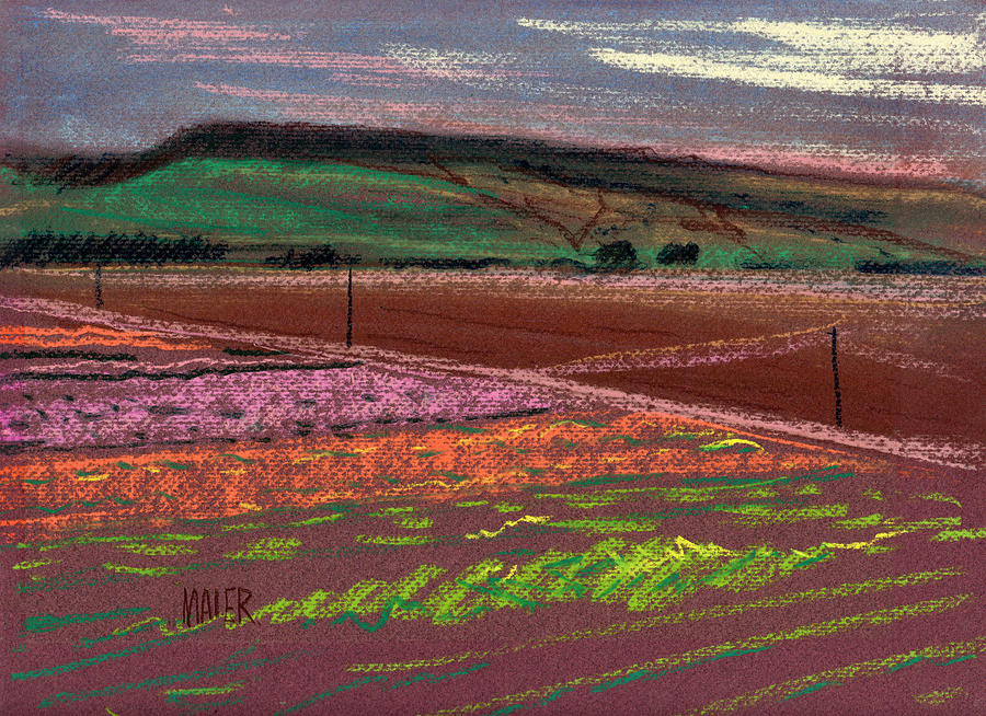 Lompoc Drawing - Dawn Over Lompoc Flower Fields by Donald Maier