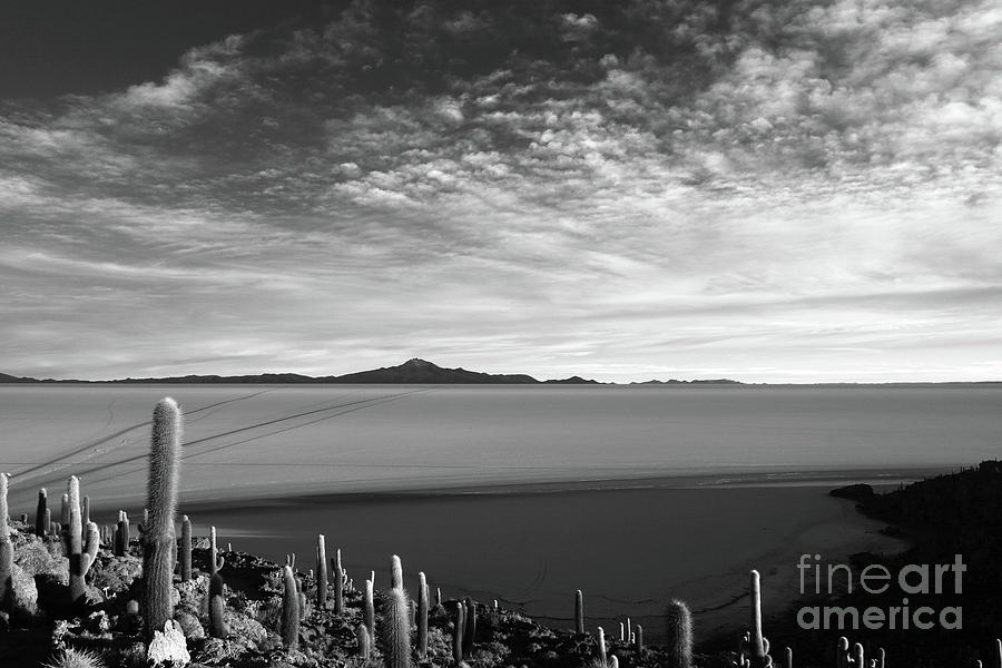 Dawn Panorama of Salar de Uyuni in Black and White Bolivia Photograph by James Brunker