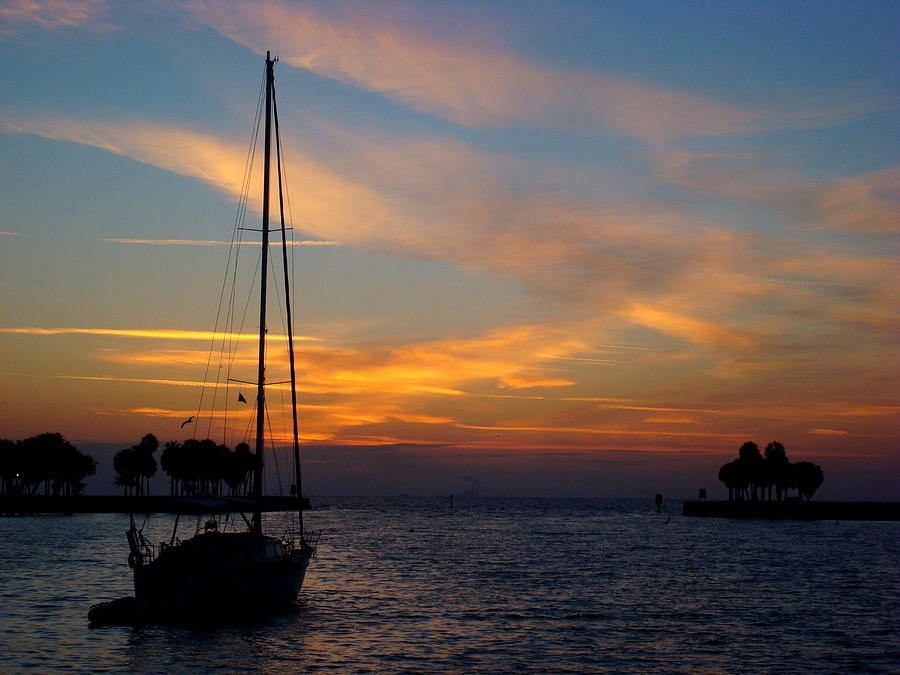 Sleeping Sailor of St. Pete Photograph by Julie Pappas