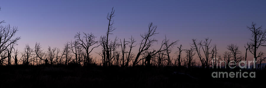 National Parks Photograph - Dawn Sky at Mesa Verde by Twenty Two North Photography