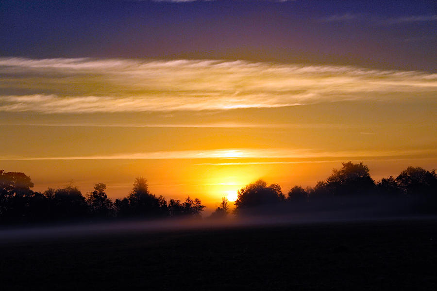 Nature Photograph - Dawn Thru The Fog by DB Hayes