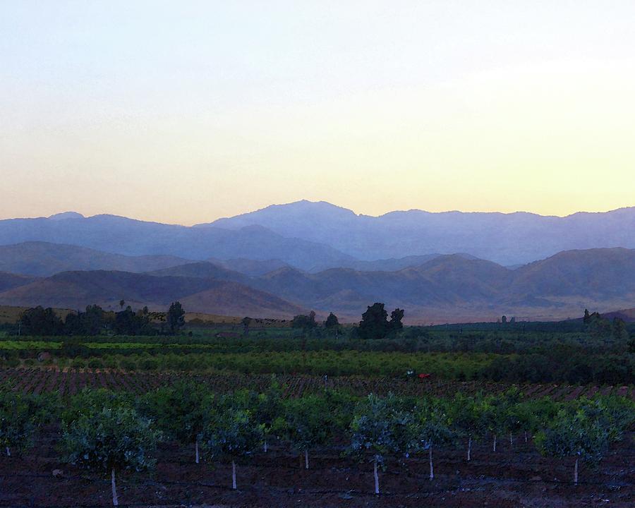 Dawn View of the Sierras Photograph by Timothy Bulone