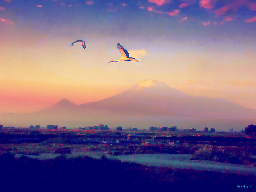 Dawn with Storks and Ararat from Night Train to Yerevan Photograph by Anastasia Savage Ealy
