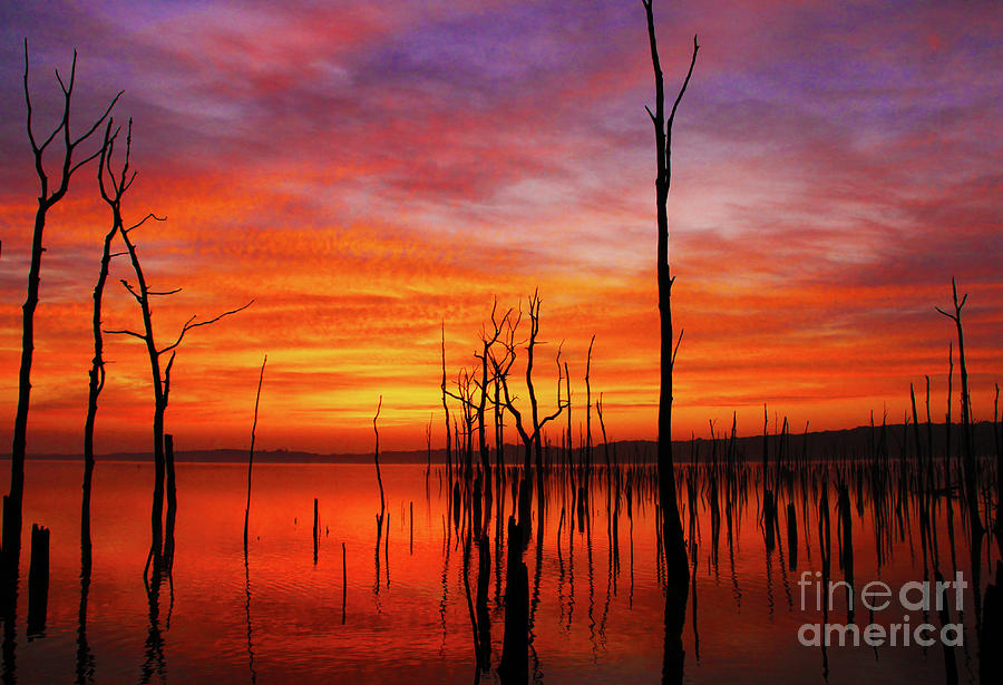Dawns Approach Photograph by Roger Becker