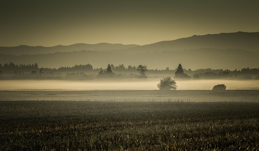 Dawns Early Light Photograph by Don Schwartz