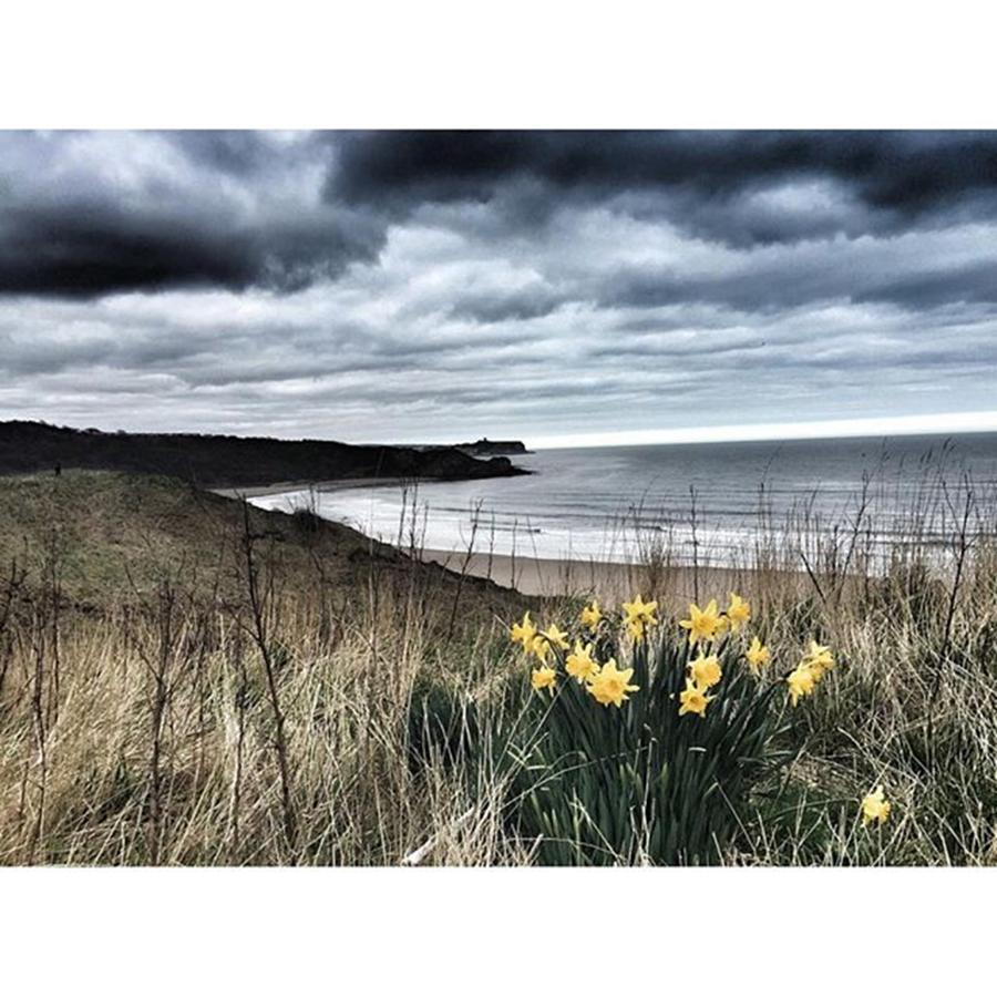 Beach Photograph - North Yorkshire coast - walking along the Cleveland Way  by Rebecca Bromwich