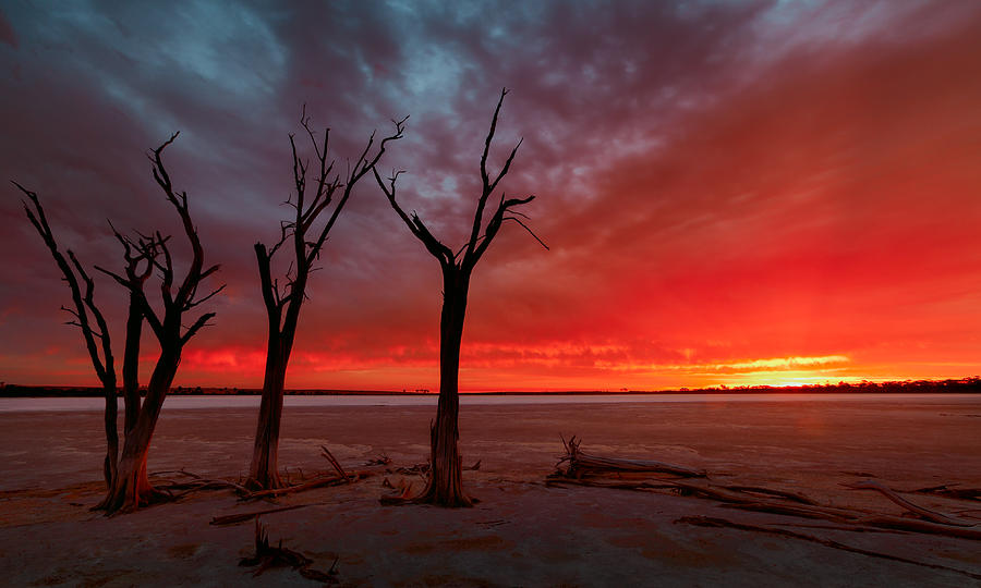 Day is Done by Julian Cook Day is Done by Julian Cook