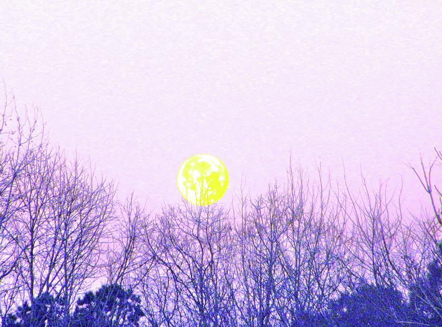 Day light Moon Photograph by Robin Coaker