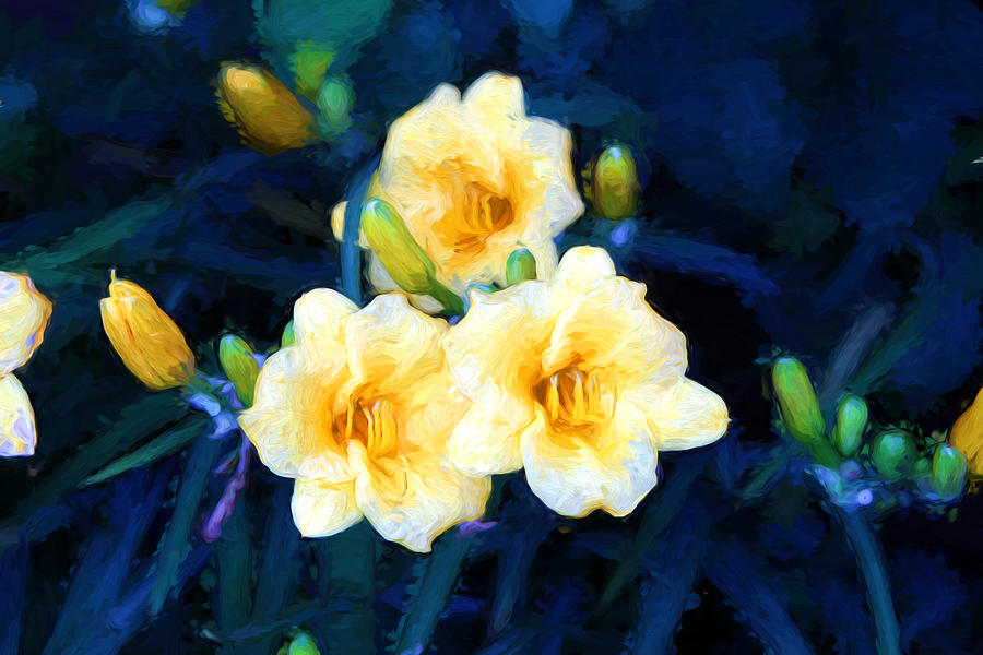 Day Lilies Photograph by John Freidenberg
