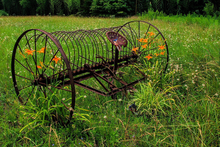 Day Lily Farming by Don Keisling Day Lily Farming by Don Keisling