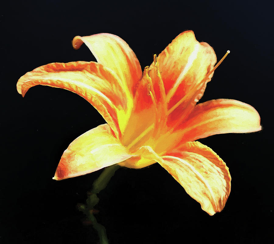 Day Lily in Degas Style Orange Photograph by Denise Beverly
