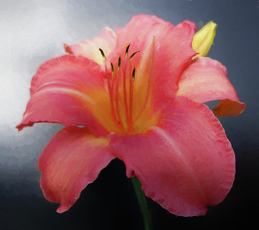 Day Lily in Degas Style Pink Grey Photograph by Denise Beverly