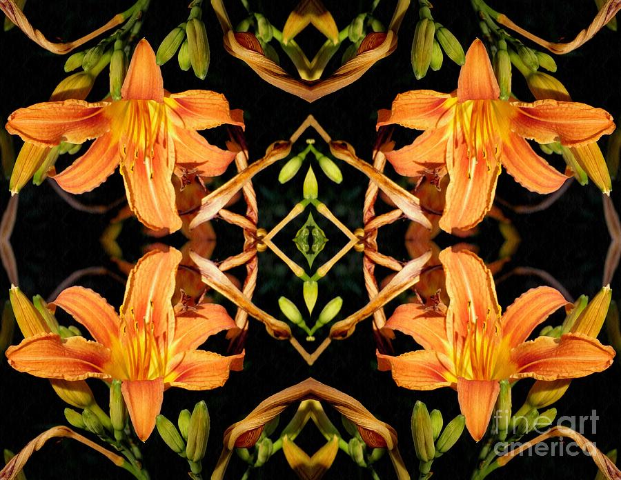 Lily Photograph - Day Lily Square Dance by Sarah Loft