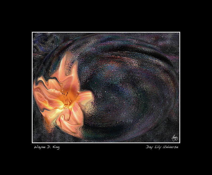 Day Lily Universe Poster Photograph by Wayne King
