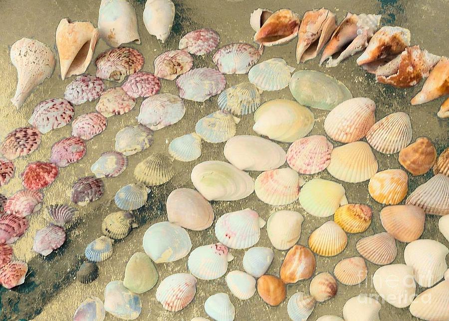 Day of Shelling at Sanibel Island Photograph by Janette Boyd