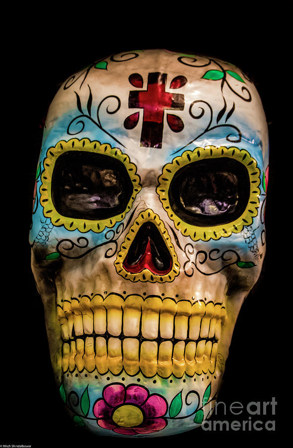 Day Of The Dead Mask Photograph by Mitch Shindelbower