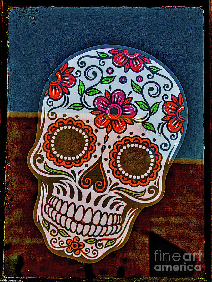 Day Of The Dead  Photograph by Mitch Shindelbower