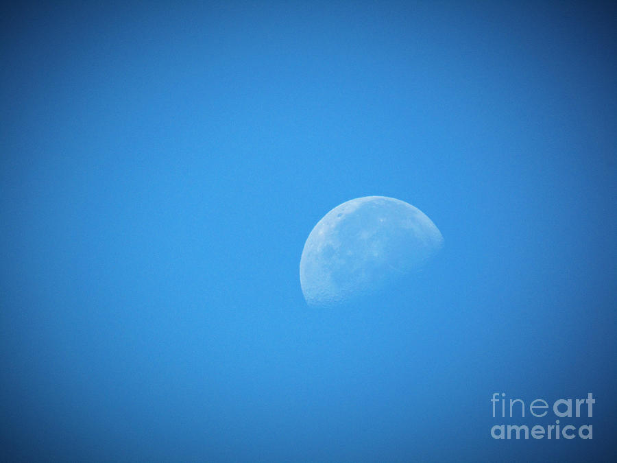 Day Time Moon 2 Photograph by Robert Knight
