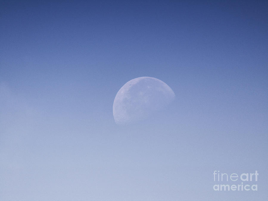 Day Time Moon Photograph by Robert Knight