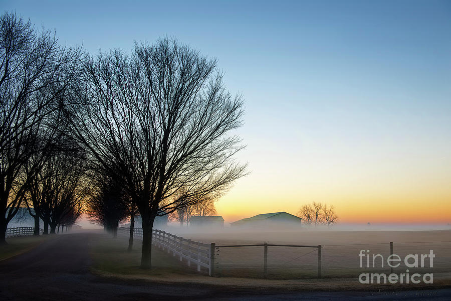 Daybreak and Morning Mist Photograph by David Arment