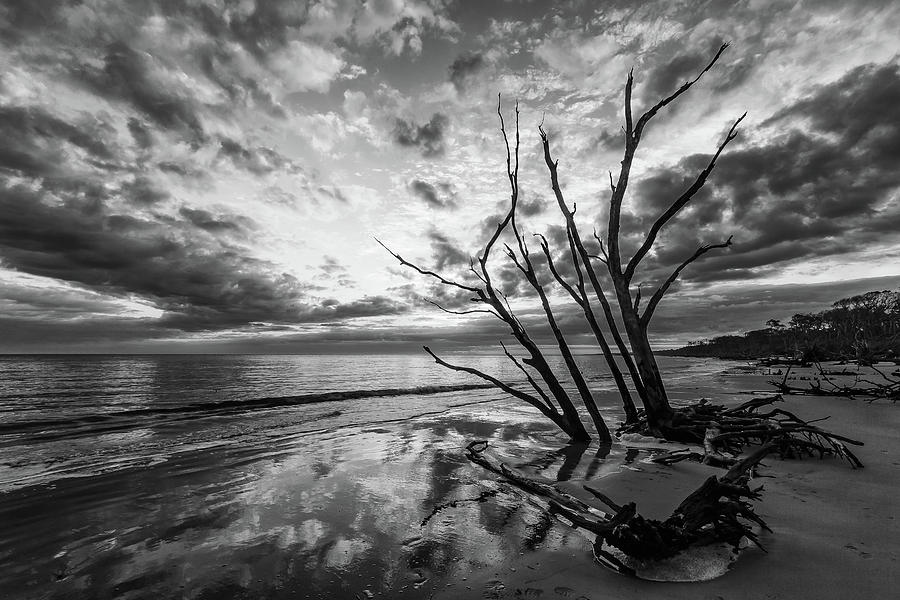 Daybreak at Boneyard Beach Photograph by Stefan Mazzola