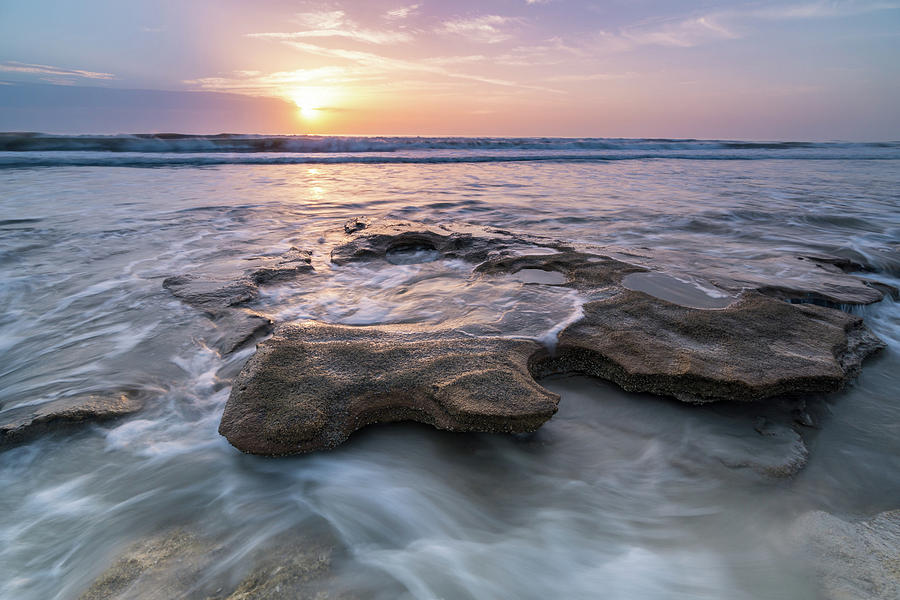 Daybreak at Marineland, Florida Photograph by Dawna Moore Photography