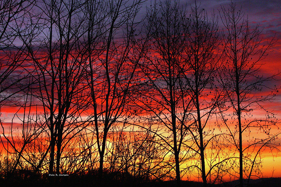 Daybreak Photograph by Dale R Carlson