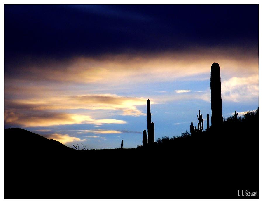 Daybreak in Arizona Photograph by L L Stewart