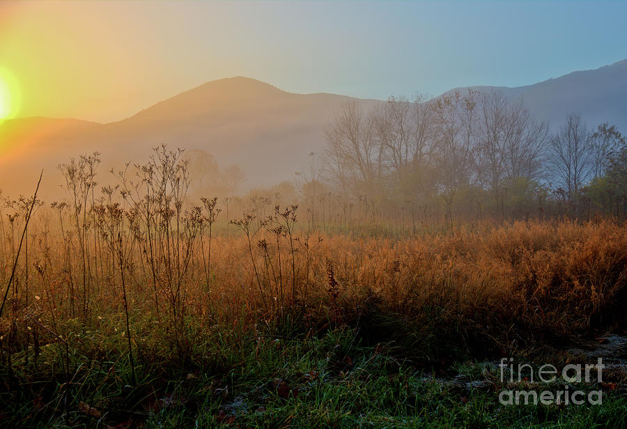 Daybreak in Cades Cove Photograph by Douglas Stucky