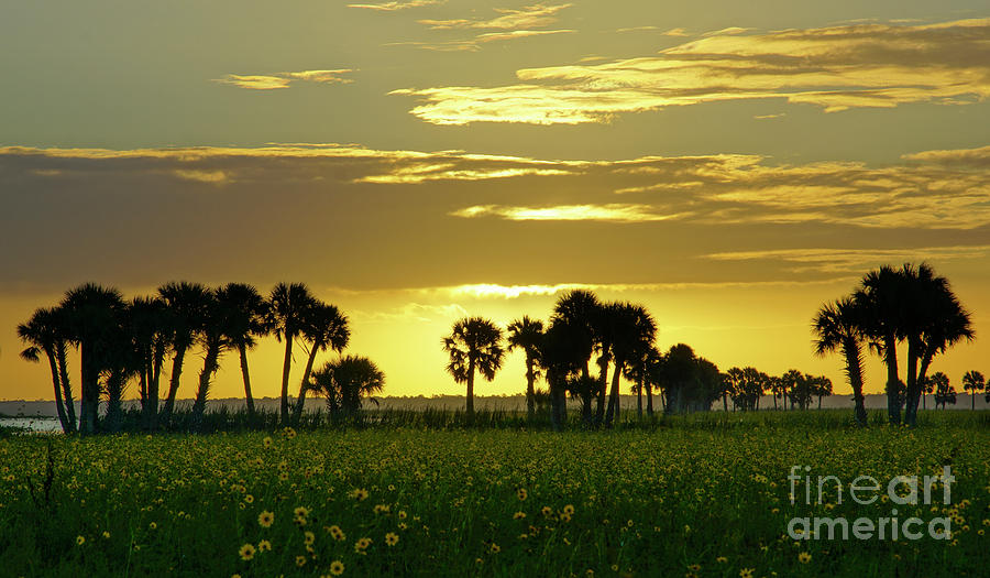Daybreak in Central Florida Photograph by Brian Kamprath