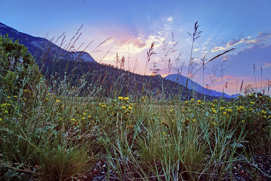 Daybreak - Rocky Mountain National Park Photograph by Nikolyn McDonald