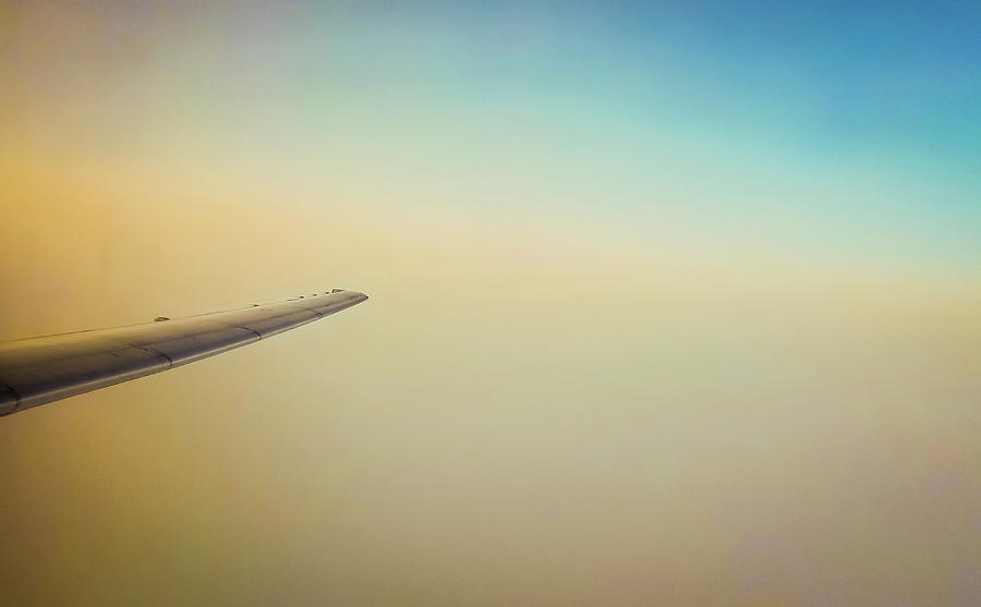 Daydream Flight Photograph by Jonny D