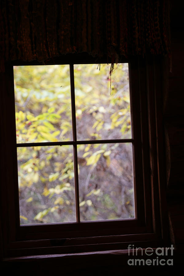 Fall Photograph - Daydream by Linda Shafer