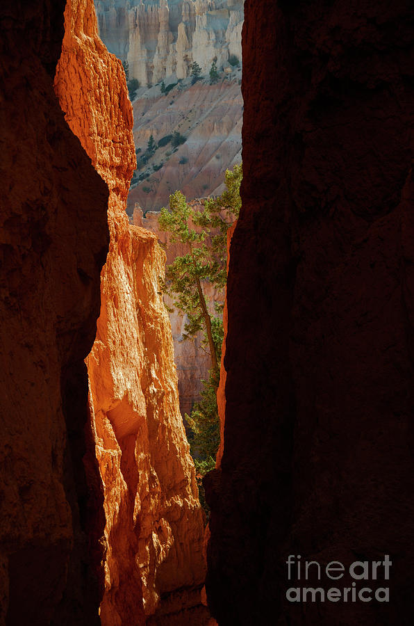 Daylight by Jeff Loh Daylight by Jeff Loh