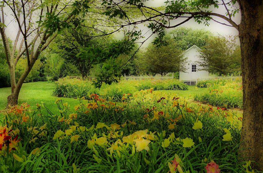 Daylilies in the Garden Photograph by Sandy Keeton