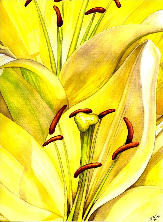 Daylily Painting by Catherine G McElroy