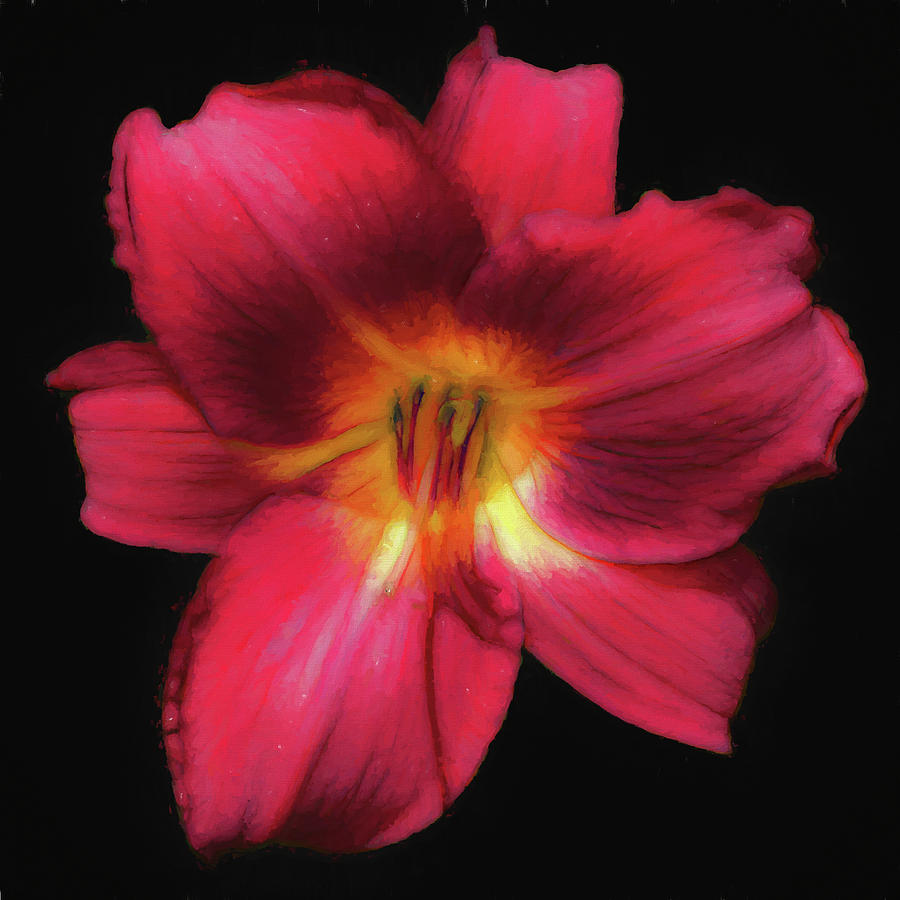 Day Lily Dark Red Painterly Photograph by Denise Beverly