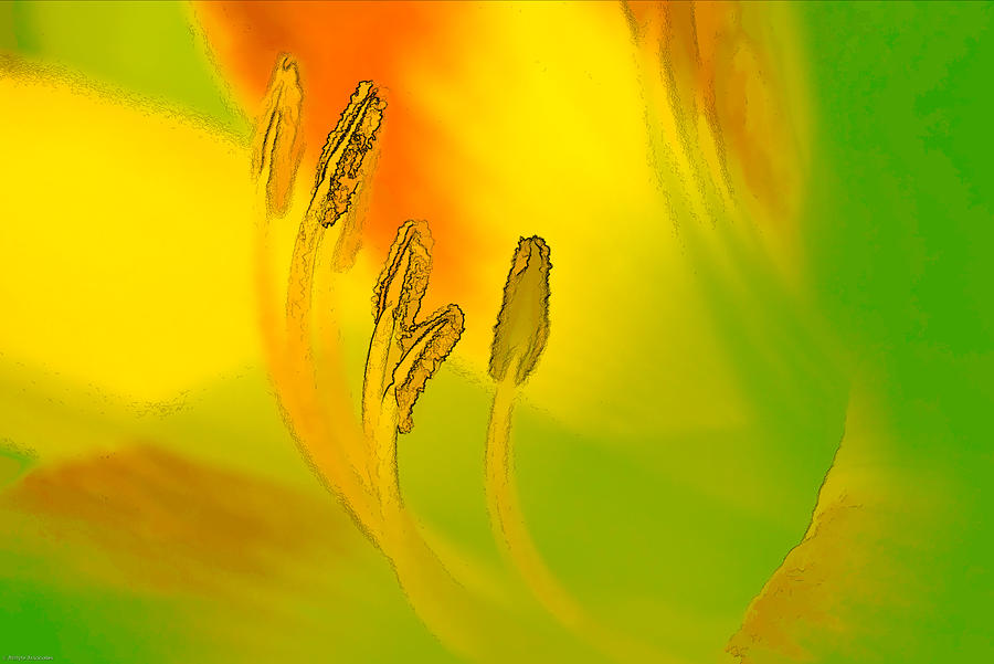 Daylily in Morning Light Digital Art by Ches Black