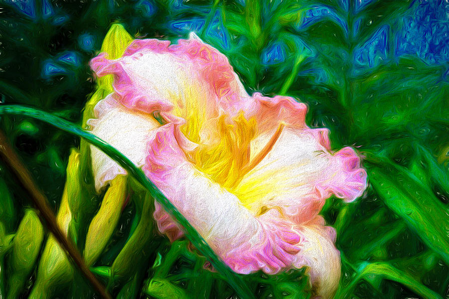 Flowers Still Life Photograph - Daylily in Paint by Ches Black
