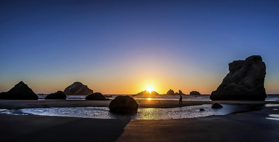 Days End at Bandon Photograph by Steven Clark