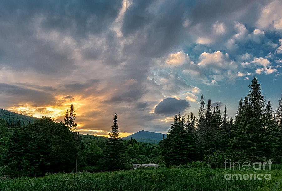 Nh Photograph - Days End In The Bog by Scott Thorp