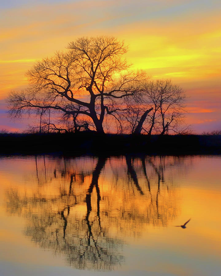 Days End - Nebraska Lake Photograph by Nikolyn McDonald
