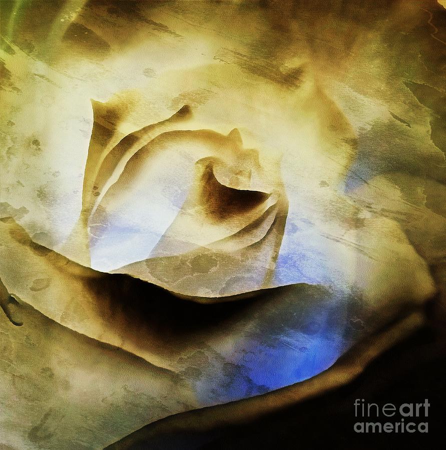 Days go by - Rose - Dreamscape Photograph by Janine Riley