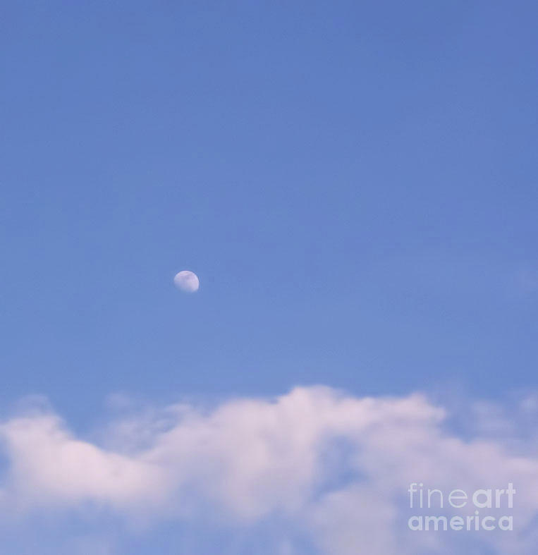 Daytime Moon And Clouds Photograph by D Hackett