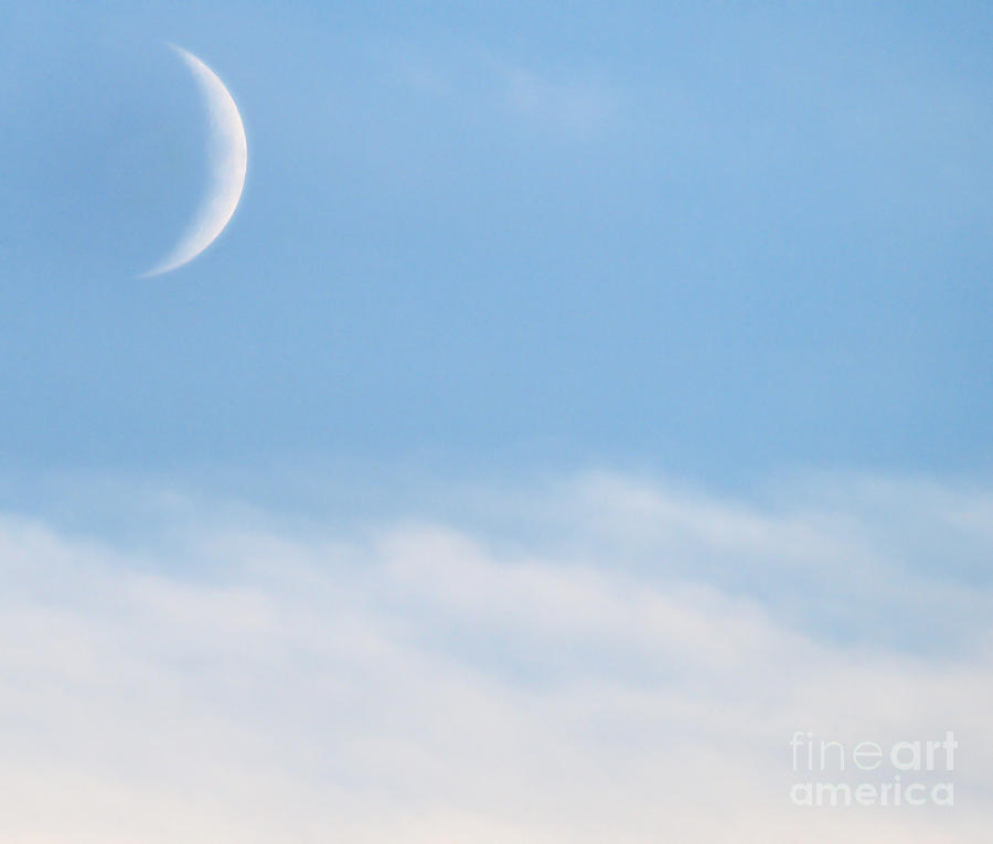 Daytime Moon Photograph by Raymond Earley