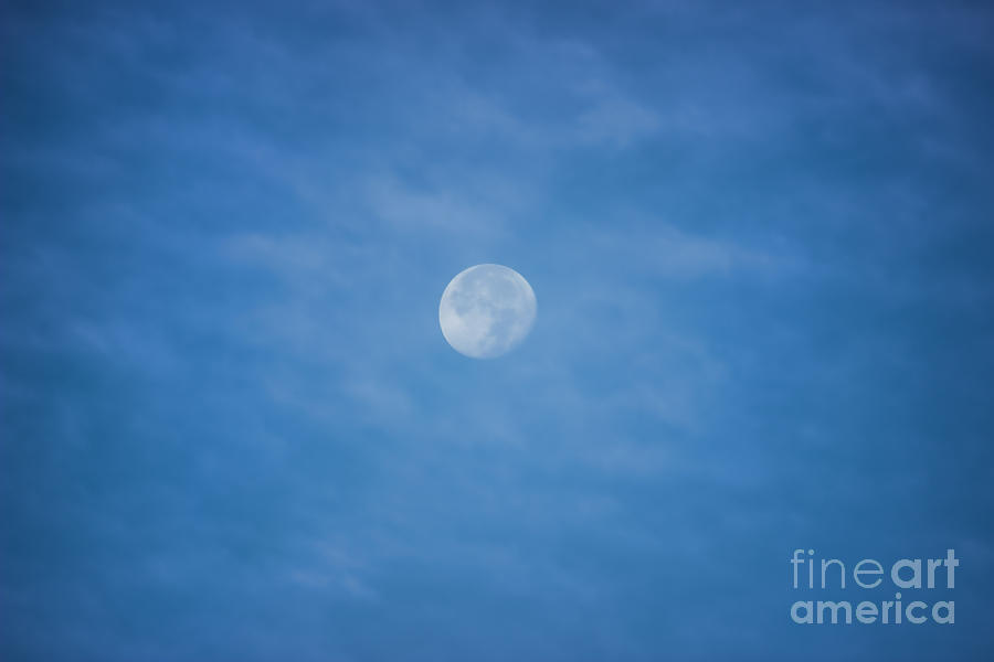 Daytime Moon Photograph by Roberta Byram