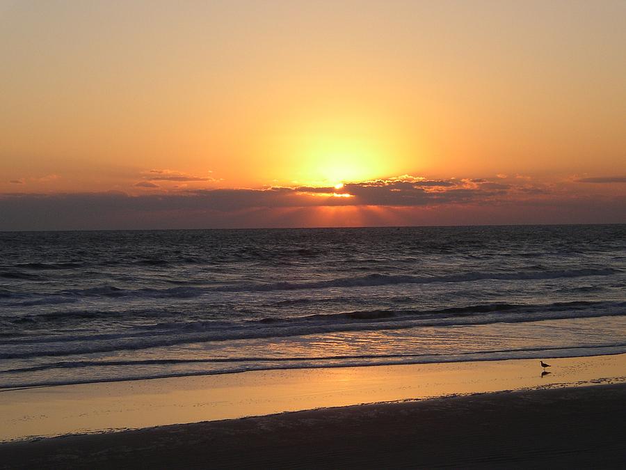 Daytona Beach Sunrise Photograph by Larry Waller