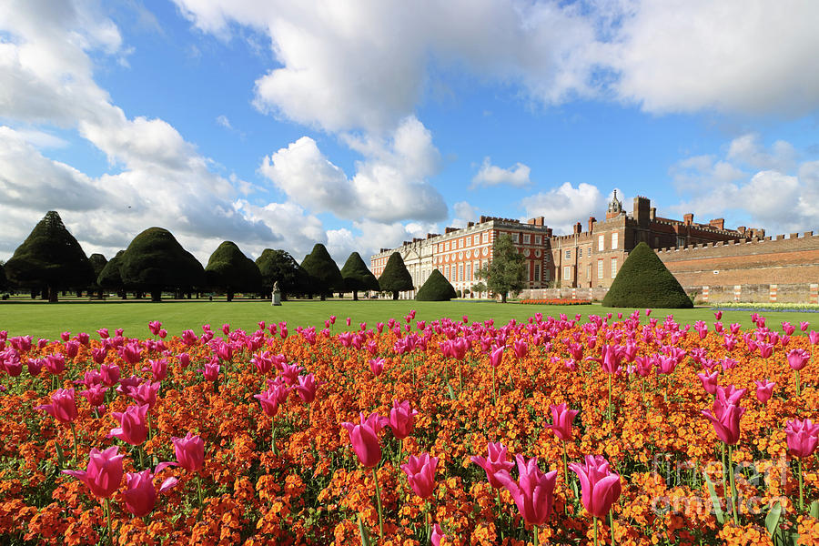 Dazzling coloured Flowers at Hampton Court Photograph by Julia Gavin