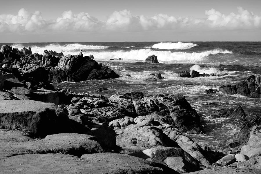 Dazzling Monterey Bay B And W Photograph by Joyce Dickens