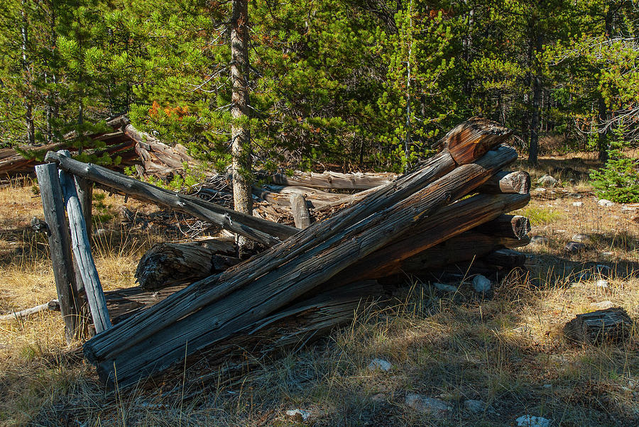 DDP DJD 1880s Montana Cabin Remains 1  Photograph by David Drew